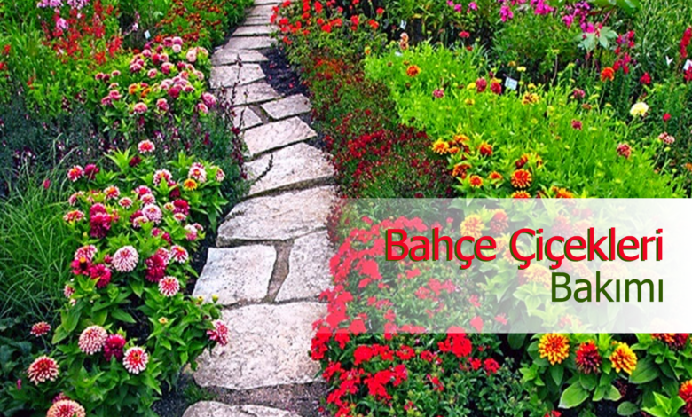 bahçe çiçekleri bakımı compress
