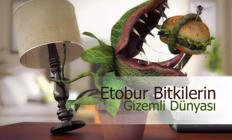 Etobur Bitkilerin Gizemli Dünyası
