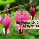 aglayan kalpler