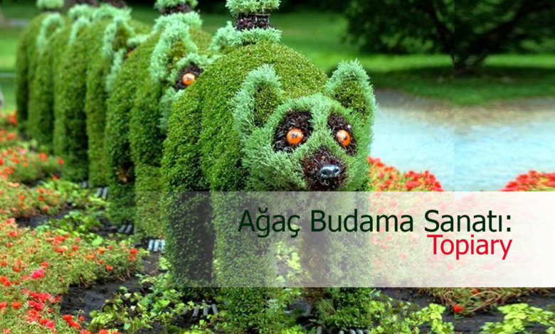 ağaç budama sanatı