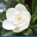 blog 3 compress