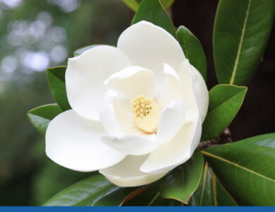 blog 3 compress