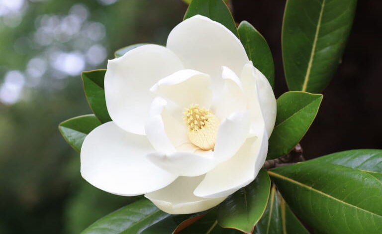 blog 3 compress