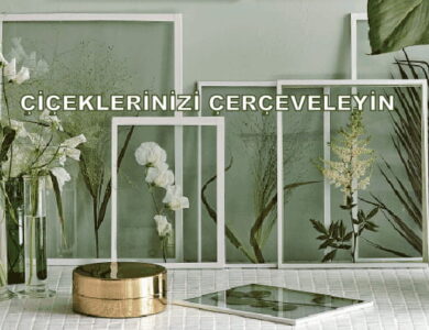 cerceveli cicek 2 compress