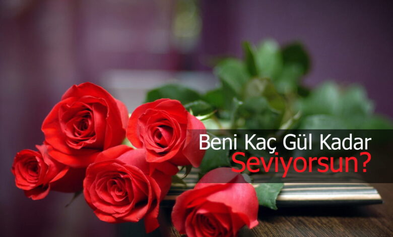 gül sayısı ve anlamları compress