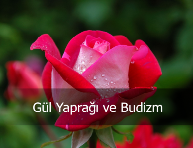 gül yaptağı ve budizm