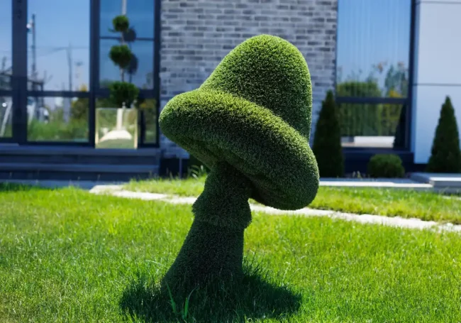 Topiary Rehberi