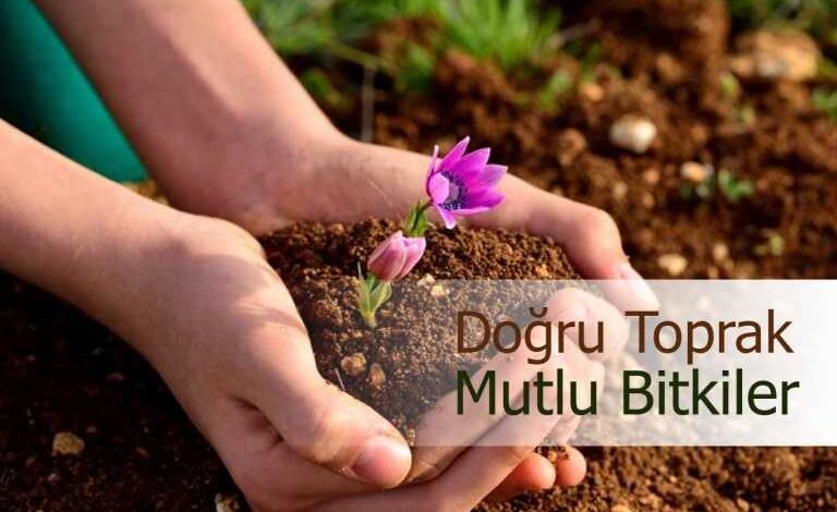 uygun toprak secimi mutlu bitkiler