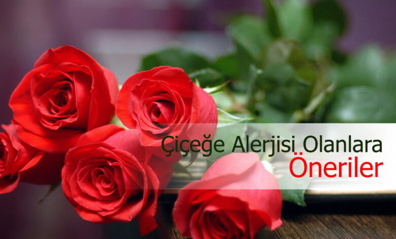 alerjisi olanlara çiçek compress