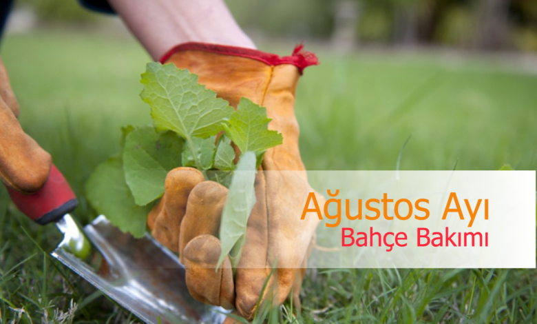 ağustos ayı bahçe bakımı