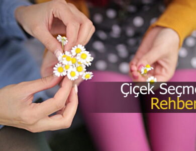 çiçek seçme rehberi compress