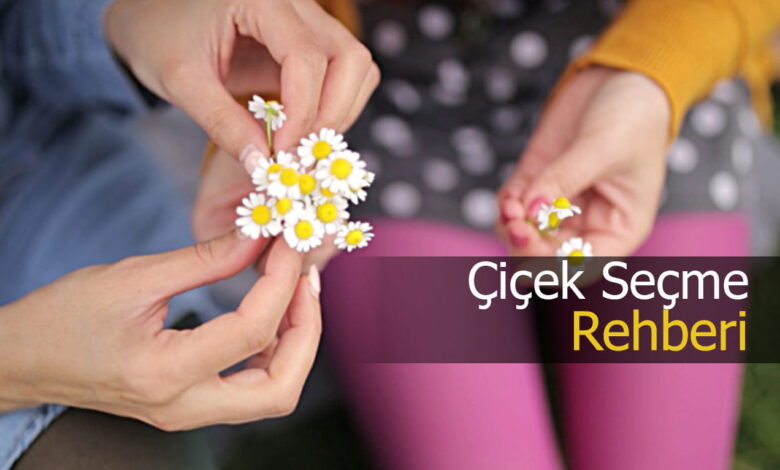 çiçek seçme rehberi compress