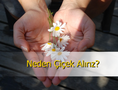 neden çiçek alırız