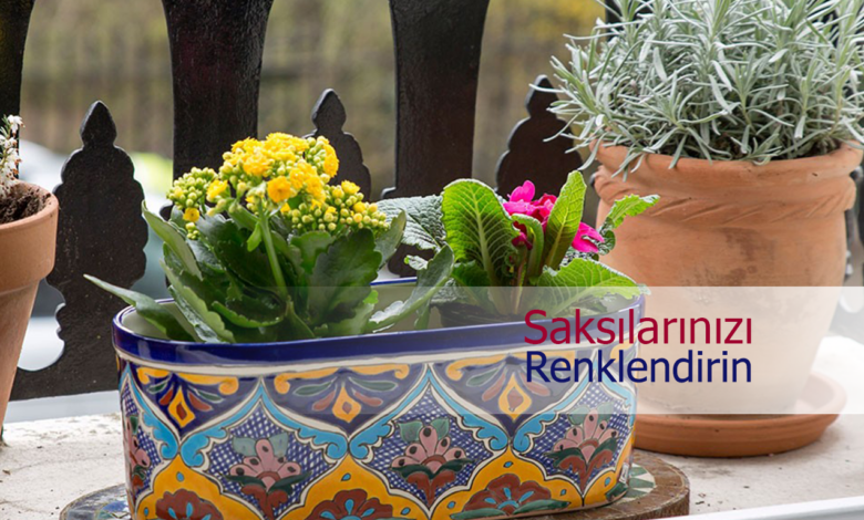 saksılarınızı renklendirin