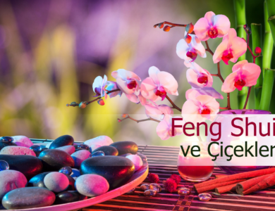 feng shui ve çiçekler