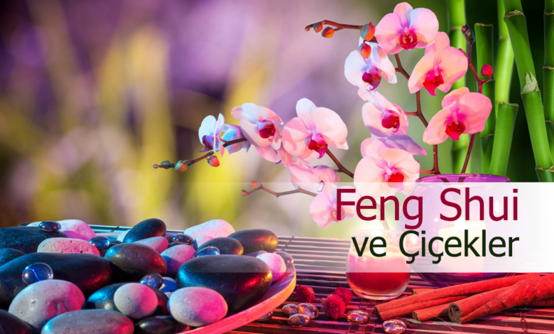 feng shui ve çiçekler