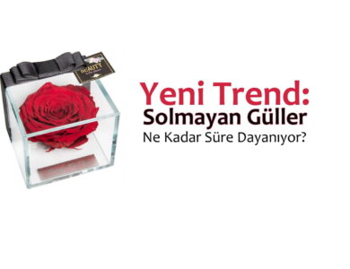 Yeni Trend Solmayan Güller Ne Kadar Süre Dayanıyor e1474958569363 compress
