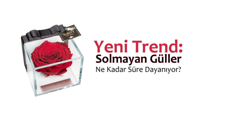 Yeni Trend Solmayan Güller Ne Kadar Süre Dayanıyor e1474958569363 compress