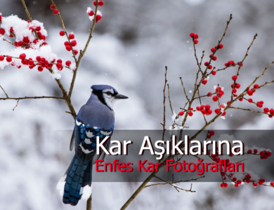 kar fotoğrafları