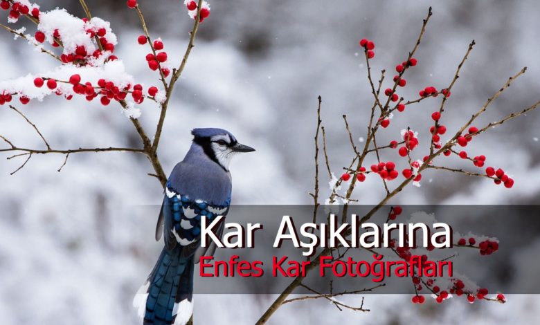 kar fotoğrafları