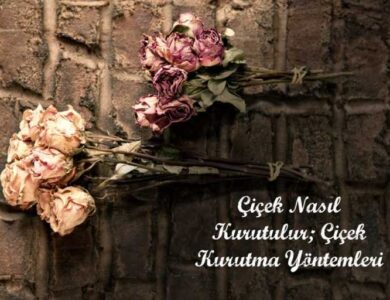cicek kurutma yontemleri 2 768x512 1 min