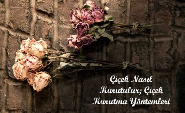 cicek kurutma yontemleri 2 768x512 1 min