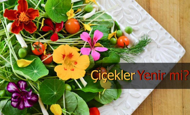 yenebilen cicekler