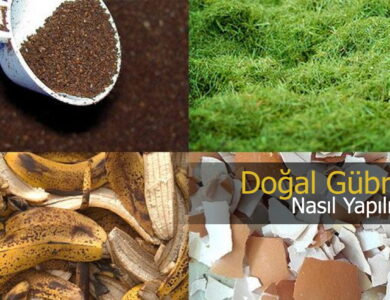 Ev Bitkileriniz İçin Doğal Gübre Kompost Nasıl Yapılır compress