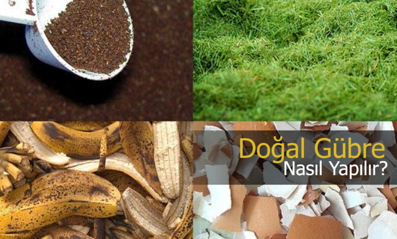 Ev Bitkileriniz İçin Doğal Gübre Kompost Nasıl Yapılır compress