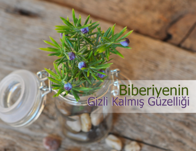biberiye