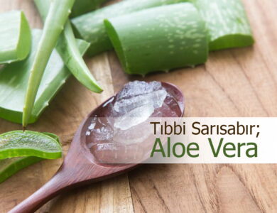 aloe vera bitkisi nedir compress