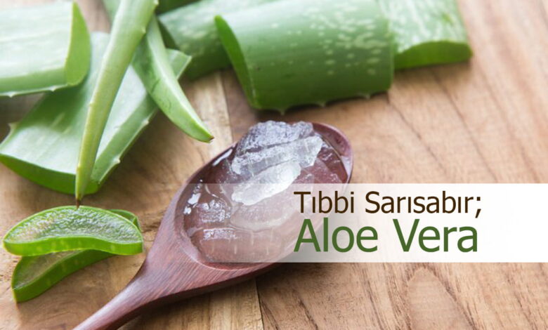 aloe vera bitkisi nedir compress