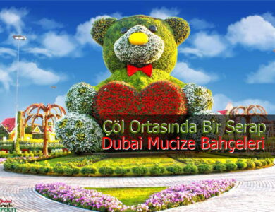 miracle garden compress