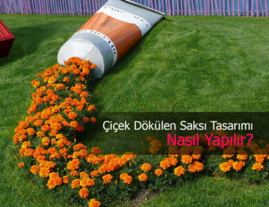 çiçek dökülen saksılar compress