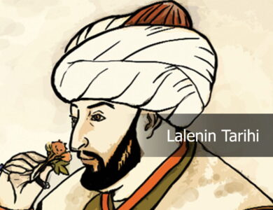 lale tarihi compress