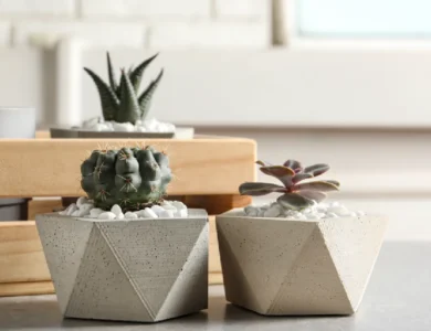 evde beton saksı yapımı