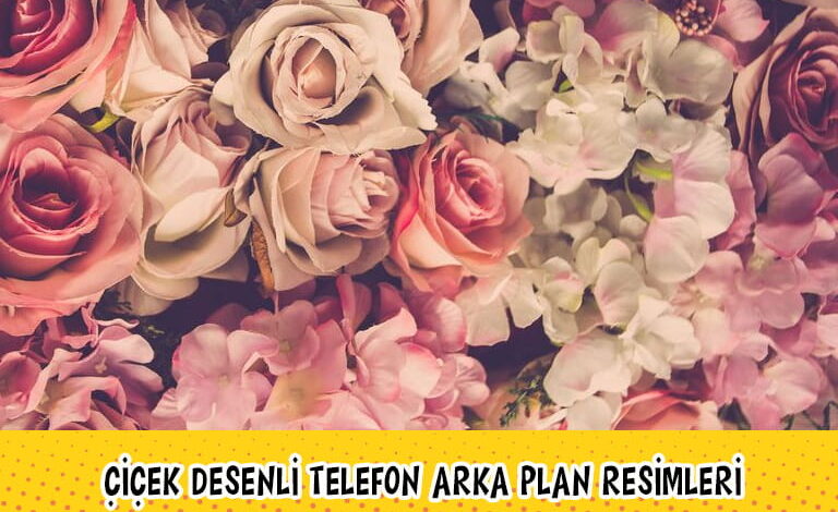 arka plan compress