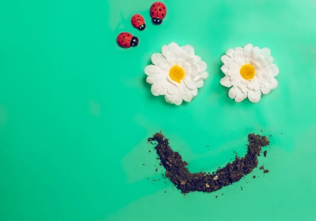 Tüm "Doğa ve Bitki" Emojileri Anlamları