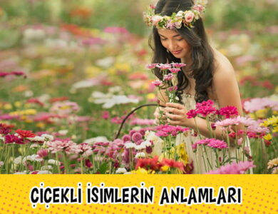 galaksinin koruyucuları compress
