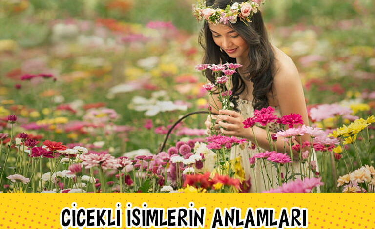 galaksinin koruyucuları compress
