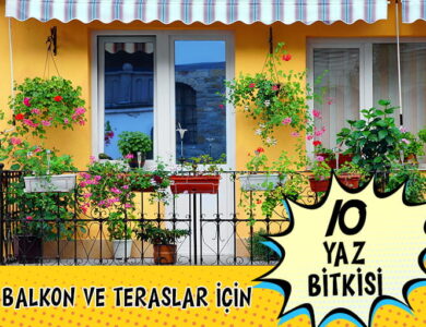 Balkon ve Teraslar compress