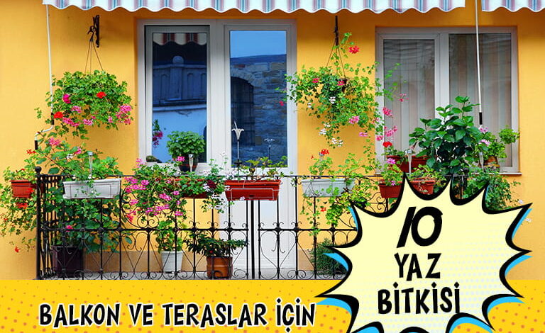 Balkon ve Teraslar compress