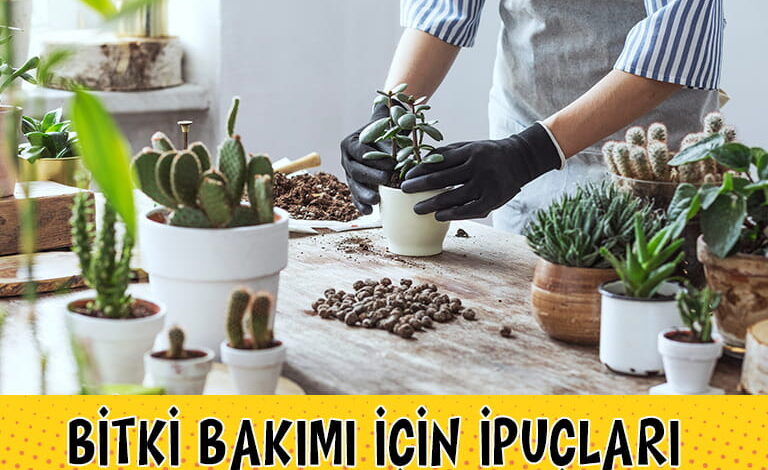 Bitki Bakimi 2 compress