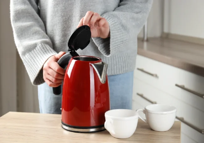 Kullanım Amacına Göre Kettle Seçimi ve Model Önerileri