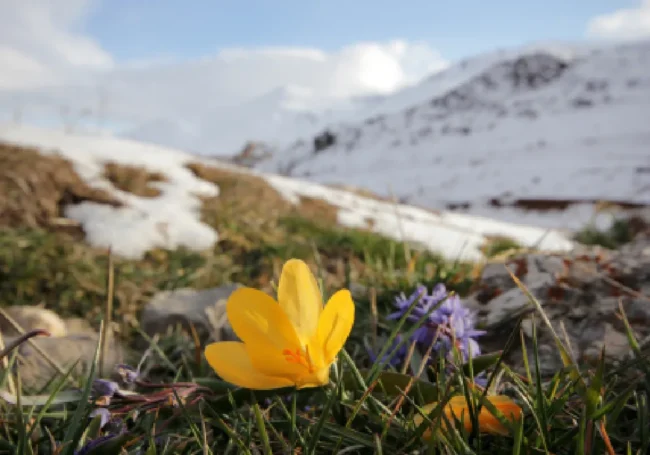 Kısa İlkbahar Sözleri - Sosyal Medya İlkbahar Sözleri