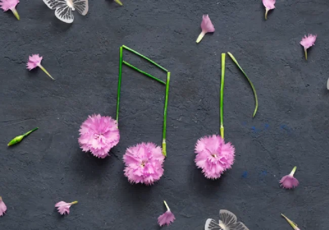 İngilizce İlkbahar Sözleri ve Anlamları - Spring Quotes