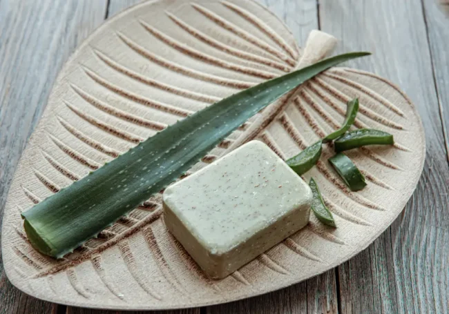 Yaz Serinliği: Aloe Vera ve Nane Özlü Ferahlatıcı Sabun